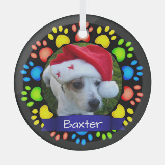 Colourful Christmas Paws Custom Pet Photo Glass Tree Decoration