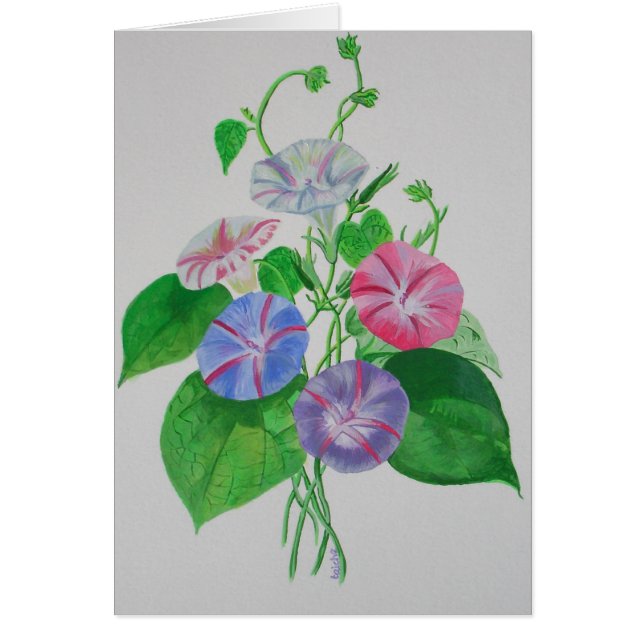 Colourful Climbing Morning Glory Botanical Art (Front)