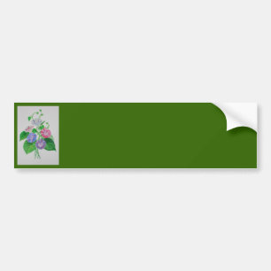 Colourful Climbing Morning Glory Botanical Art Bumper Sticker