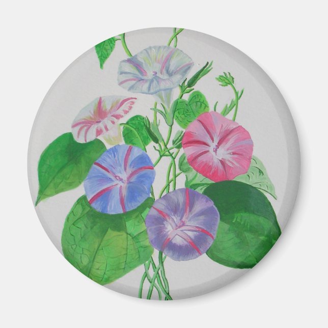 Colourful Climbing Morning Glory Botanical Art Magnet (Front)