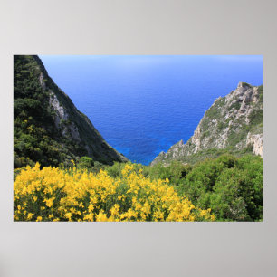 Colourful Coast Poster