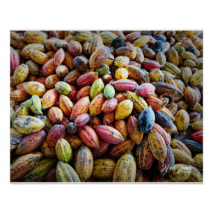 Colourful Coca Pods Photographic design Poster