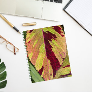 Colourful Coleus Plant Leaf Floral Notebook