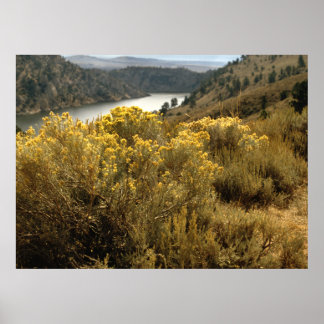 Colourful Colorado Canyon Brush Prints