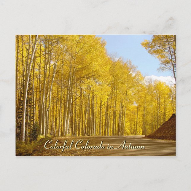 Colourful Colorado in Autumn Postcard (Front)