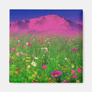 Colourful Colorado, Pikes Peak Mountain Magnet
