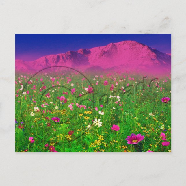 Colourful Colorado, Pikes Peak Mountain Postcard (Front)