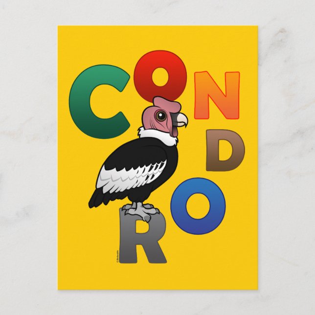 Colourful Condor Postcard (Front)