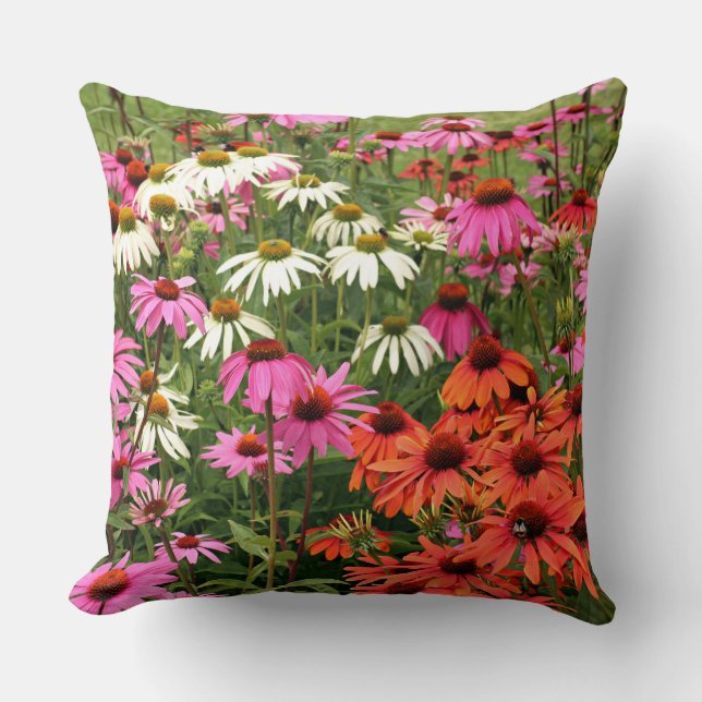 Colourful Coneflowers Cushion (Front)