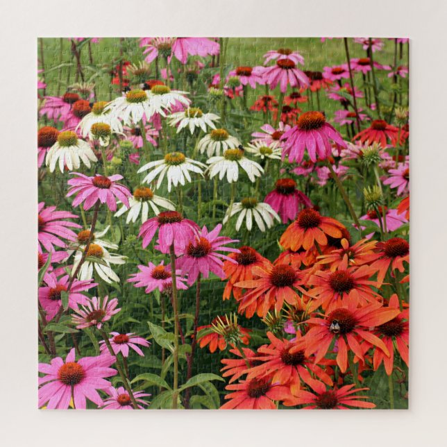 Colourful Coneflowers Jigsaw Puzzle (Vertical)