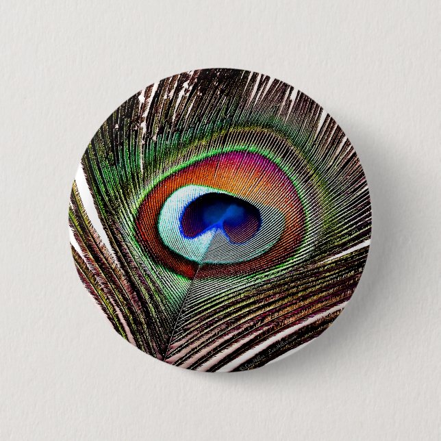 Colourful Copper Peacock Feather 6 Cm Round Badge (Front)