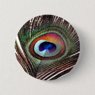 Colourful Copper Peacock Feather 6 Cm Round Badge