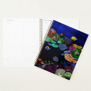 Colourful Coral & Fish Reef Planner