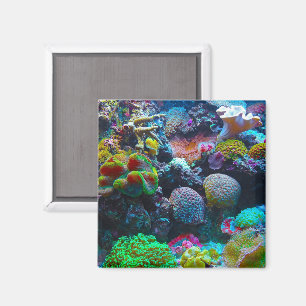 Colourful Coral Magnet