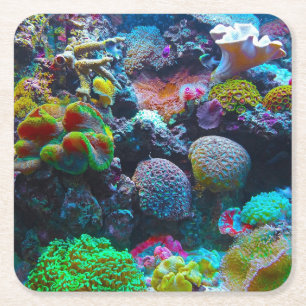 Colourful Coral Square Paper Coaster