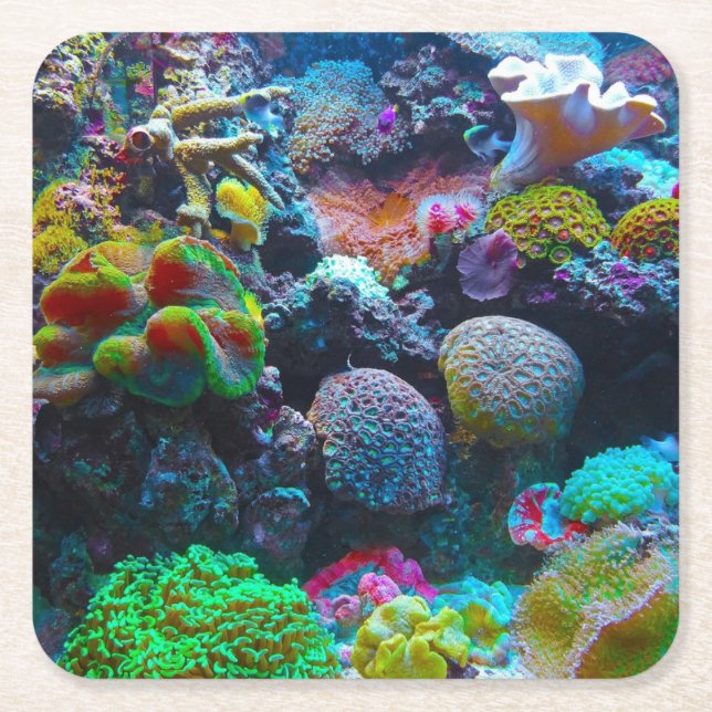 Colourful Coral Square Paper Coaster (Front)