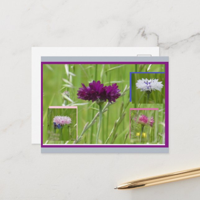Colourful Cornflowers Collage DIY Postcard (Front/Back In Situ)