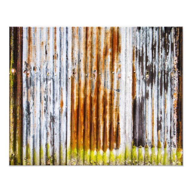 Colourful Corrugated Iron Fence Photo Print (Front)