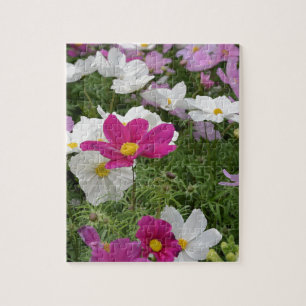 Colourful cosmos flower garden jigsaw puzzle
