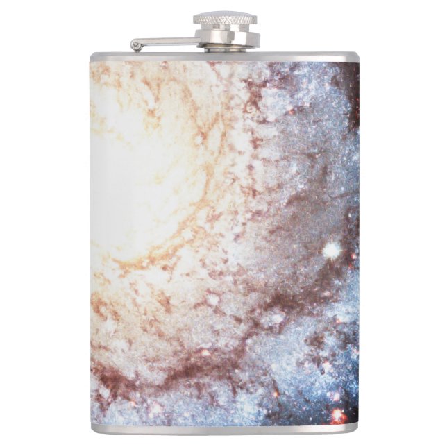 Colourful Cosmos Hip Flask (Front)