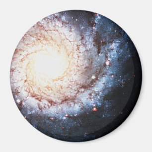 Colourful Cosmos Magnet