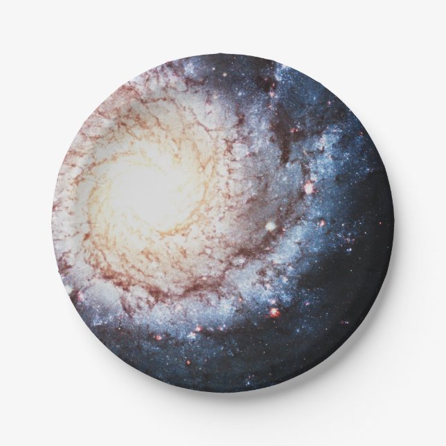 Colourful Cosmos Paper Plate (Front)