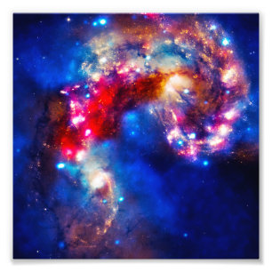 Colourful Cosmos Photo Print