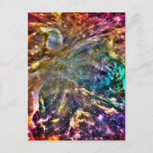 Colourful Cosmos Postcard