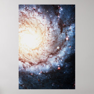Colourful Cosmos Poster