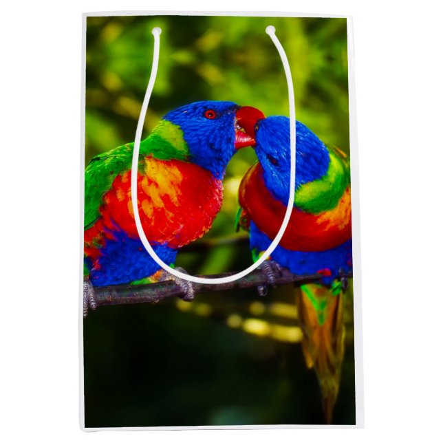 Colourful Couple of Kissing Parrots Medium Gift Bag (Front)