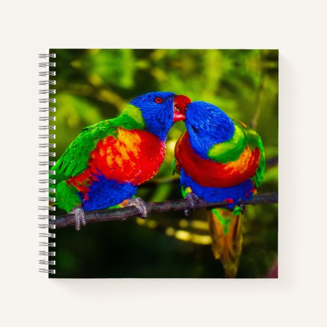Colourful Couple of Kissing Parrots Notebook (Front)