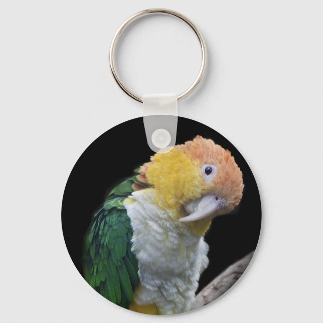 Colourful Cutie Keyring (Front)