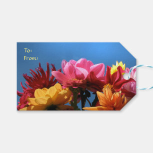 Colourful Dahlia Flowers Pack of Gift Tags