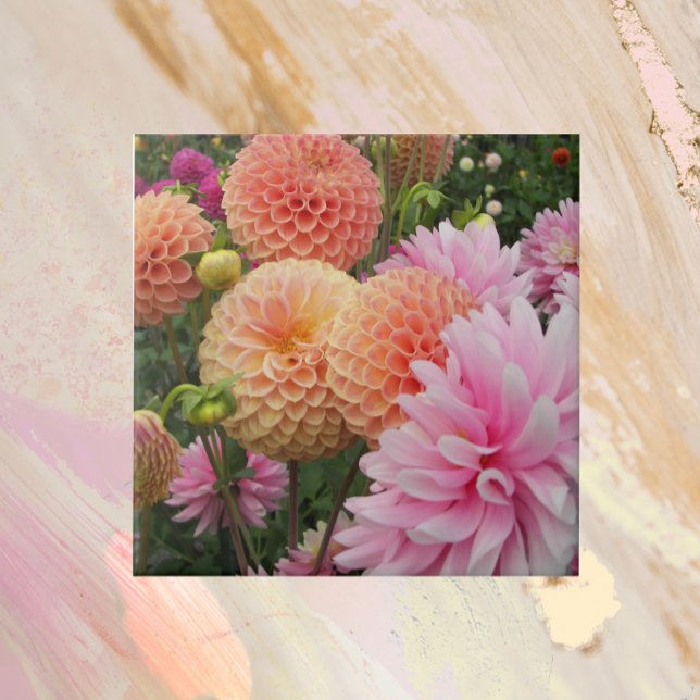 Colourful Dahlia Garden Floral Tile (In Situ)
