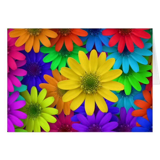Colourful Daisies (Front Horizontal)