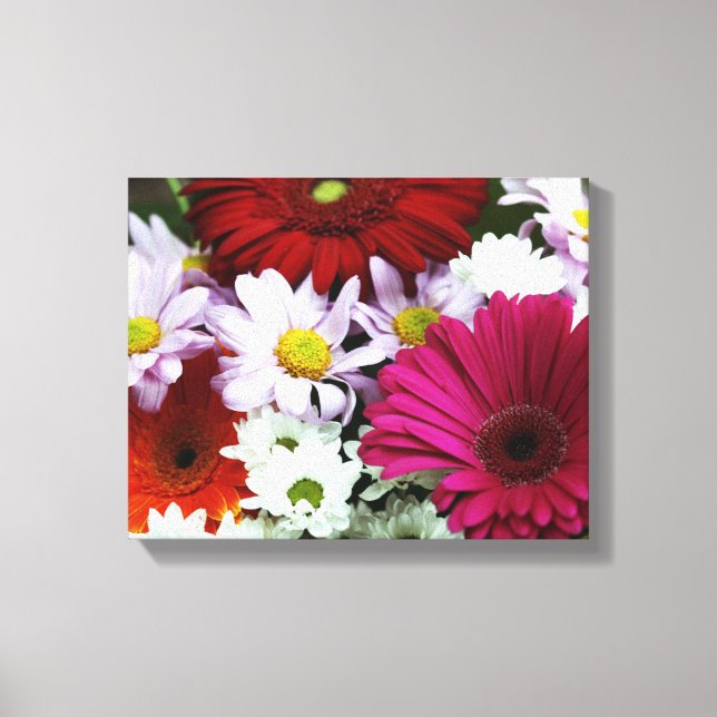 Colourful Daisies Canvas Print (Front)