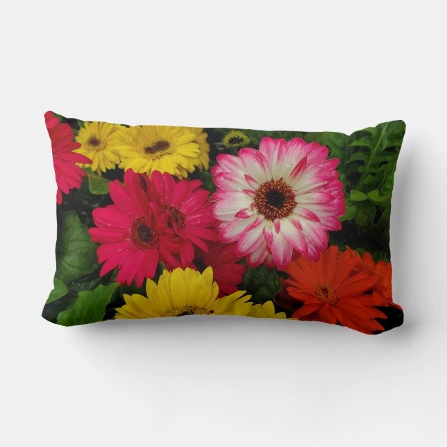 Colourful Daisies Lumbar Cushion (Back)