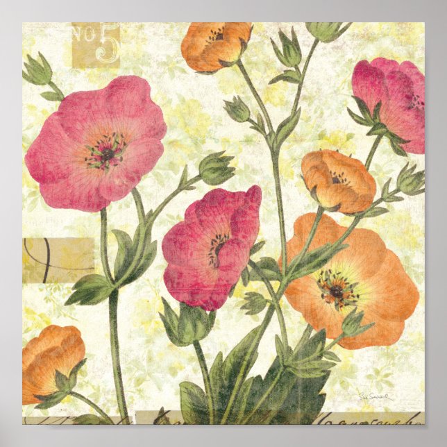 Colourful Daisies Poster (Front)