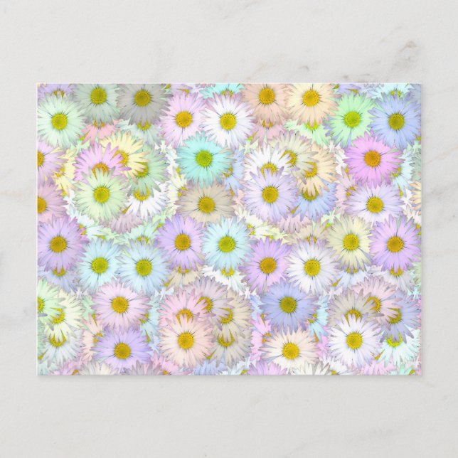 Colourful daisy bouquet - pastel postcard (Front)