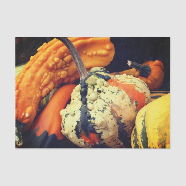 Colourful Decorative Gourds Close Up Fall Decoupag Tissue Paper (Front)