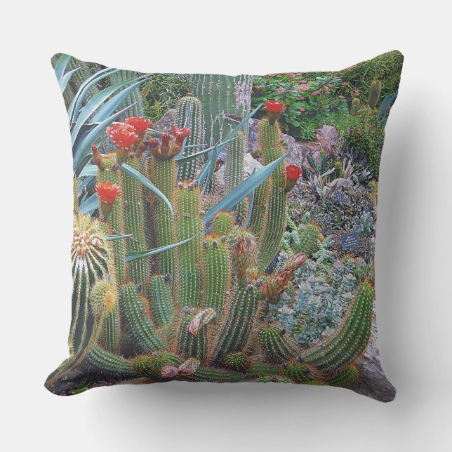 Colourful Desert Botanical Garden Cactus Pillow (Front)