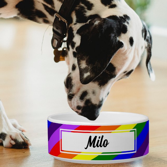 Colourful Diagonal Rainbow Pet Bowl (diagonal rainbow color pet bowl with Dalmatian dog)