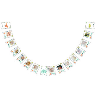 Colourful Dinosaur First Birthday Milestone Photo Bunting
