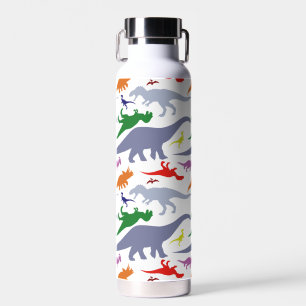 Colourful Dinosaur Pattern (Light) Water Bottle
