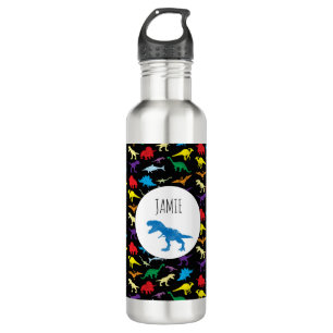 Colourful Dinosaurs Kids Pattern 710 Ml Water Bottle