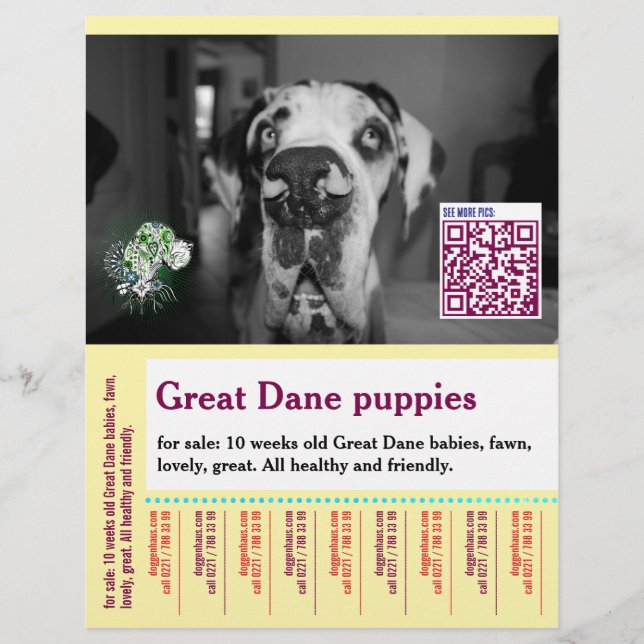 Colourful dog themed template for  flyer (Front)
