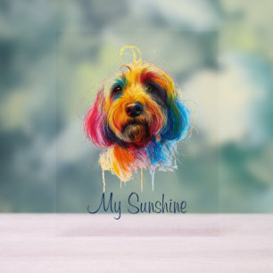 Colourful Doodle Acrylic Sign