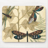 Colourful Dragonflies Floating Above Leaves