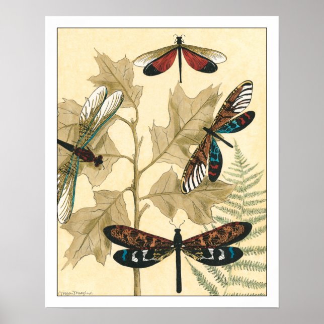 Colourful Dragonflies Floating Above Leaves Poster (Front)