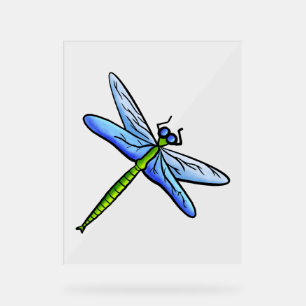 Colourful dragonfly on a branch acrylic sign